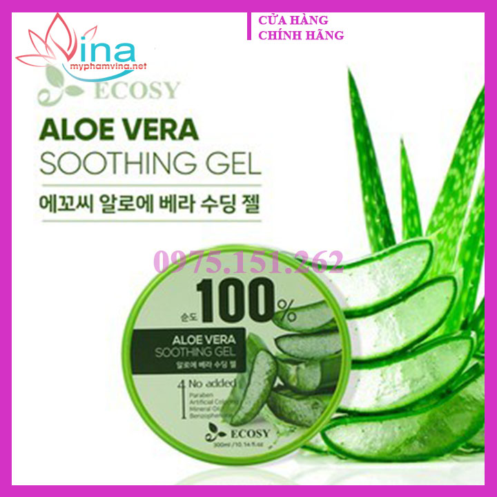 Gel Dưỡng Làm Dịu Da Ecosy 100% Aloe Vera Soothing 300ml 2